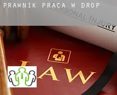 Prawnik praca w  Drop