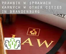 Prawnik w sprawach karnych w  Other cities in Brandenburg