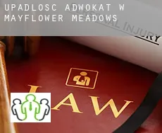 Upadłość adwokat w  Mayflower Meadows