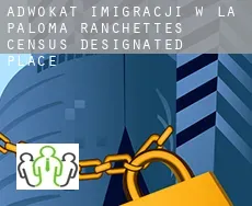 Adwokat imigracji w  La Paloma Ranchettes