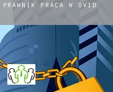 Prawnik praca w Ovid