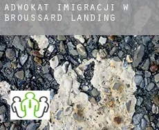 Adwokat imigracji w  Broussard Landing