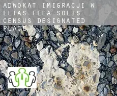 Adwokat imigracji w  Elias-Fela Solis