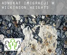 Adwokat imigracji w  Wilkinson Heights