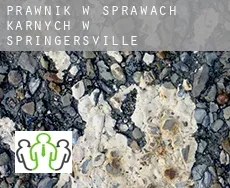 Prawnik w sprawach karnych w  Springersville