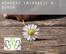 Adwokat imigracji w  Düren