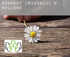 Adwokat imigracji w  Holland