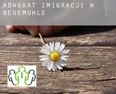 Adwokat imigracji w  Neuemühle