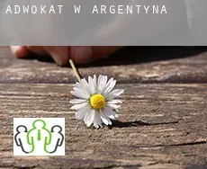 Adwokat w  Argentyna