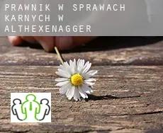Prawnik w sprawach karnych w  Althexenagger