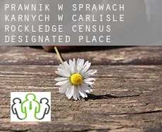 Prawnik w sprawach karnych w  Carlisle-Rockledge
