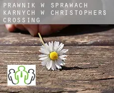 Prawnik w sprawach karnych w  Christophers Crossing