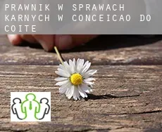 Prawnik w sprawach karnych w Conceição do Coité