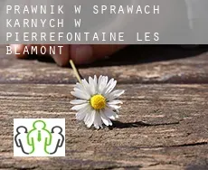 Prawnik w sprawach karnych w  Pierrefontaine-lès-Blamont