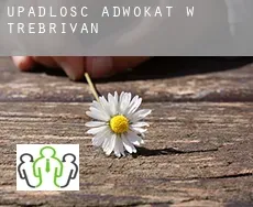 Upadłość adwokat w  Trébrivan