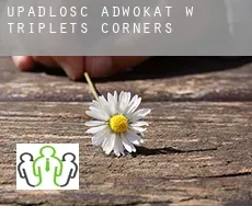 Upadłość adwokat w Triplets Corners