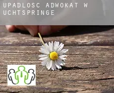 Upadłość adwokat w  Uchtspringe