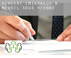 Adwokat imigracji w  Mesnil-sous-Vienne