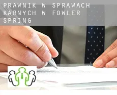 Prawnik w sprawach karnych w  Fowler Spring