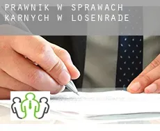 Prawnik w sprawach karnych w  Losenrade