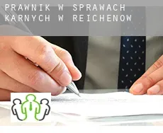 Prawnik w sprawach karnych w  Reichenow