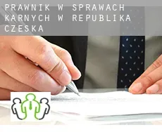 Prawnik w sprawach karnych w  Republika Czeska