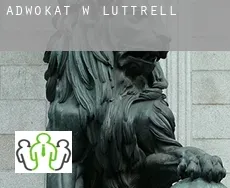 Adwokat w  Luttrell