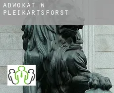 Adwokat w  Pleikartsforst