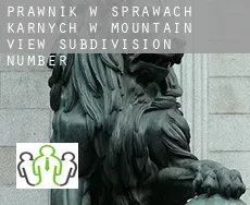 Prawnik w sprawach karnych w  Mountain View Subdivision Number 13