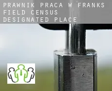 Prawnik praca w  Franks Field