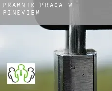Prawnik praca w  Pineview