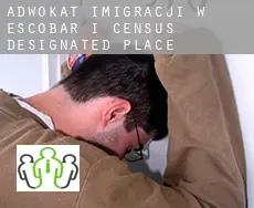 Adwokat imigracji w  Escobar I