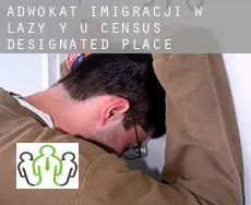 Adwokat imigracji w  Lazy Y U