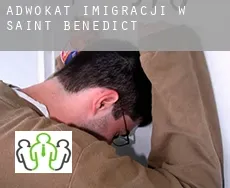 Adwokat imigracji w  Saint Benedict