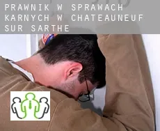 Prawnik w sprawach karnych w  Châteauneuf-sur-Sarthe