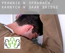 Prawnik w sprawach karnych w  Daar Bridge