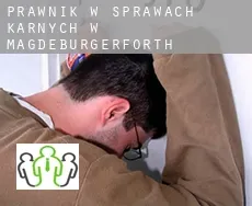 Prawnik w sprawach karnych w  Magdeburgerforth