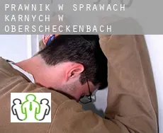 Prawnik w sprawach karnych w  Oberscheckenbach