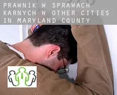 Prawnik w sprawach karnych w Other cities in Maryland County