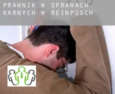 Prawnik w sprawach karnych w  Reinpusch