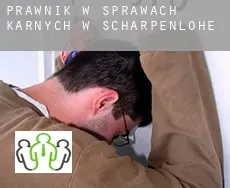 Prawnik w sprawach karnych w  Scharpenlohe