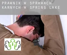 Prawnik w sprawach karnych w  Spring Lake
