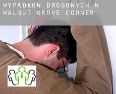 Wypadków drogowych w Walnut Grove Corner