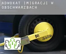 Adwokat imigracji w  Obschwarzbach