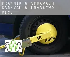 Prawnik w sprawach karnych w  Hrabstwo Rice