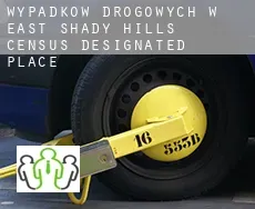 Wypadków drogowych w  East Shady Hills