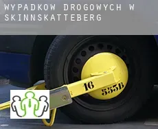 Wypadków drogowych w  Skinnskatteberg