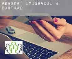 Adwokat imigracji w  Dorthae