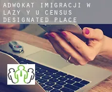 Adwokat imigracji w  Lazy Y U