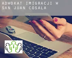 Adwokat imigracji w  San Juan Cosalá